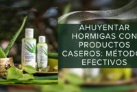 Ahuyentar Hormigas con Productos Caseros