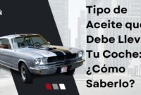 Tipo de Aceite que Debe Llevar Tu Coche Tipo de Aceite que Debe Llevar Tu Coche